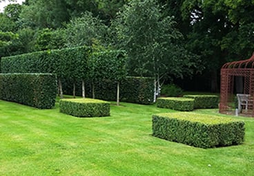 Hedge Trimming and Topiary